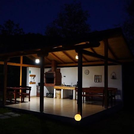 Guest House Carpathia Вишеу-де-Сус Экстерьер фото
