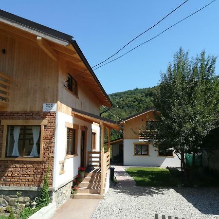 Guest House Carpathia Вишеу-де-Сус Экстерьер фото