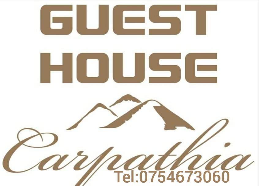 Guest House Carpathia Вишеу-де-Сус Экстерьер фото