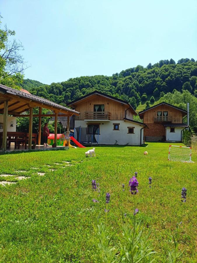 Guest House Carpathia Вишеу-де-Сус Экстерьер фото