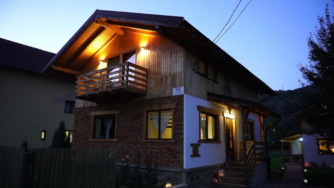 Guest House Carpathia Вишеу-де-Сус Экстерьер фото