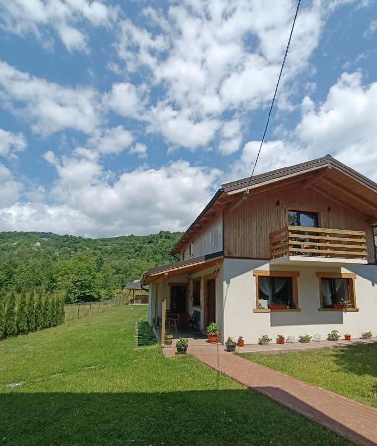 Guest House Carpathia Вишеу-де-Сус Экстерьер фото