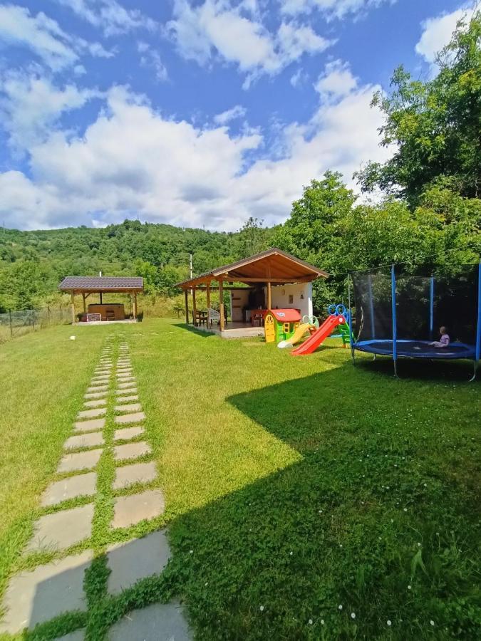 Guest House Carpathia Вишеу-де-Сус Экстерьер фото