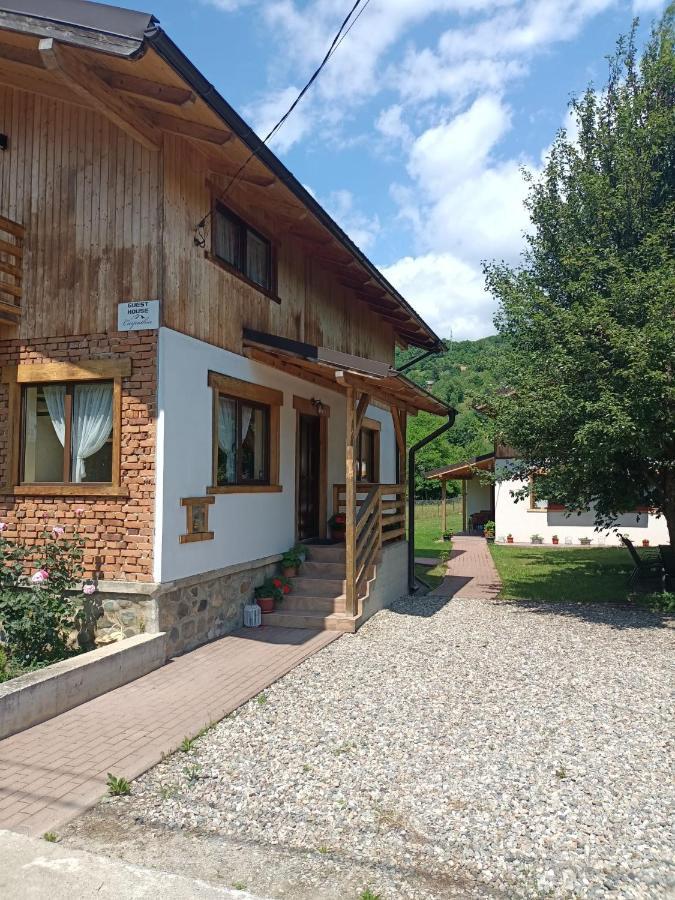 Guest House Carpathia Вишеу-де-Сус Экстерьер фото