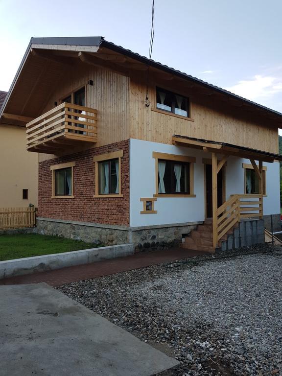 Guest House Carpathia Вишеу-де-Сус Экстерьер фото