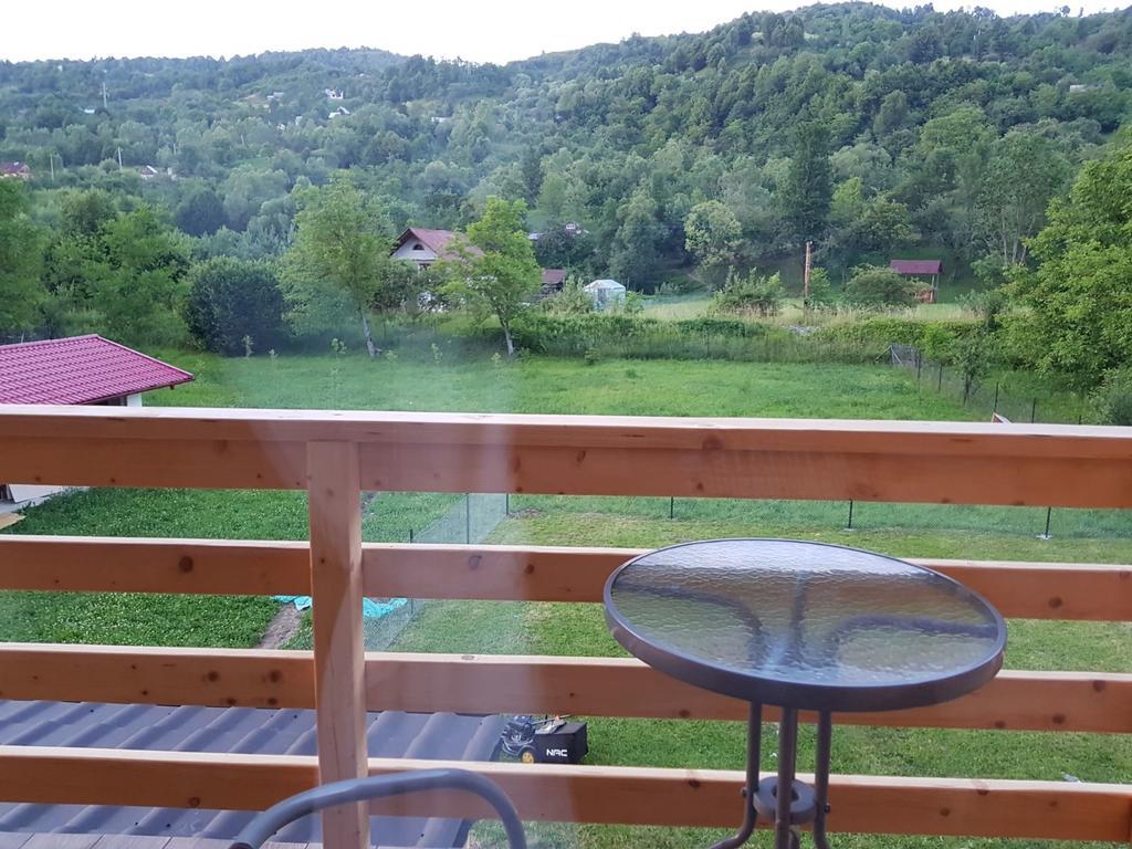 Guest House Carpathia Вишеу-де-Сус Экстерьер фото