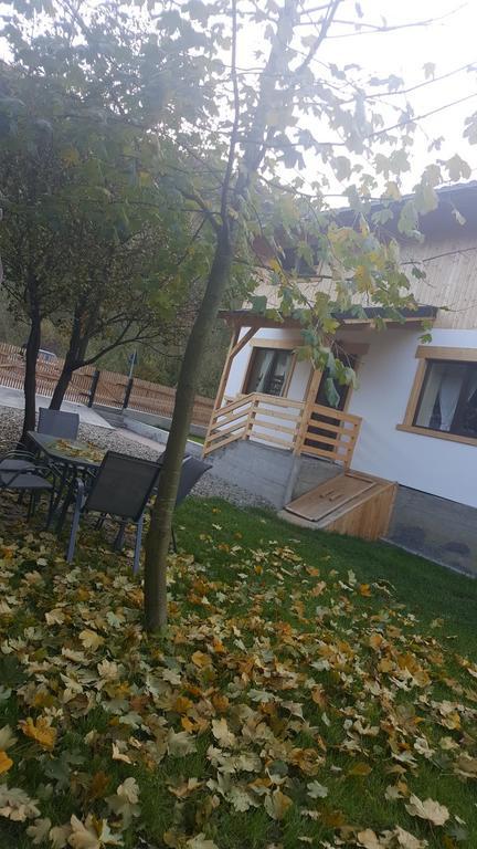 Guest House Carpathia Вишеу-де-Сус Экстерьер фото