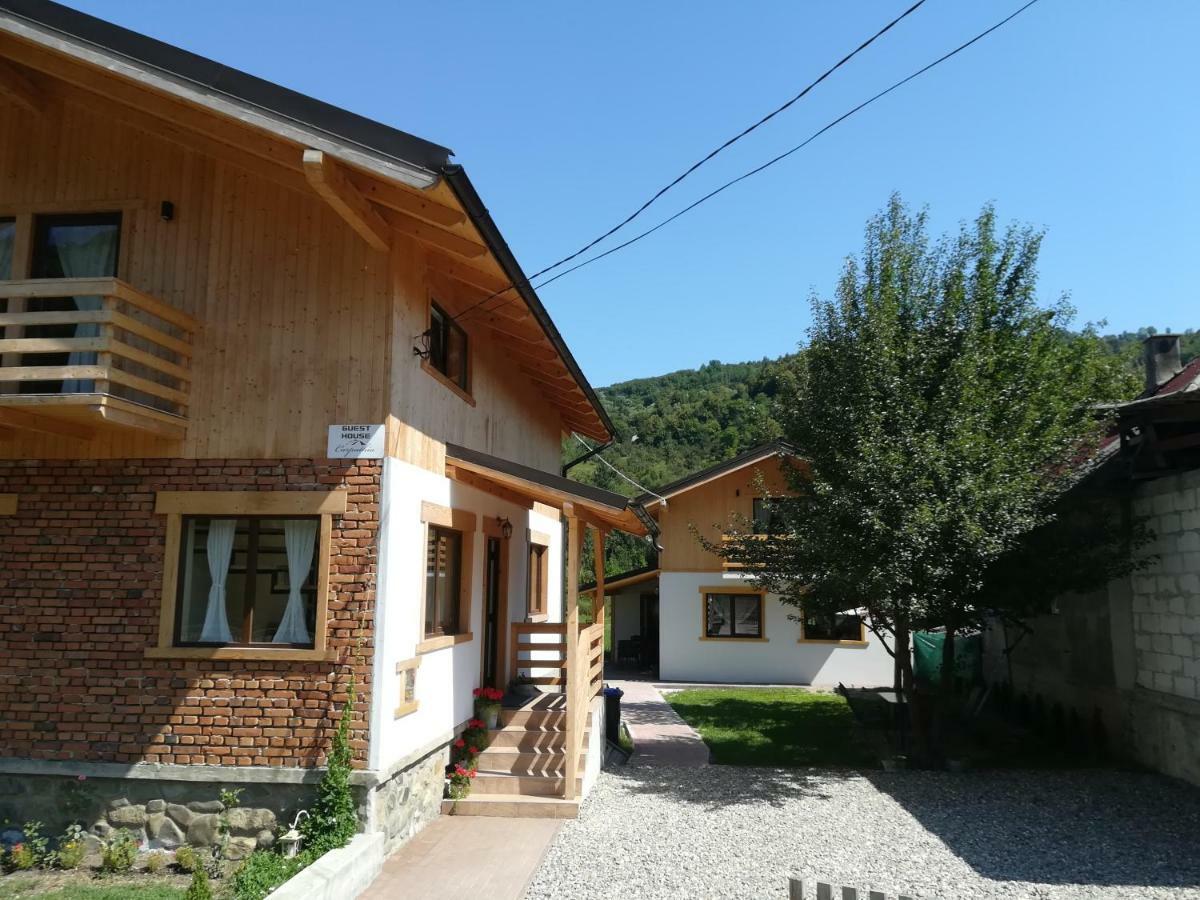 Guest House Carpathia Вишеу-де-Сус Экстерьер фото