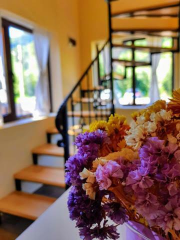 Guest House Carpathia Вишеу-де-Сус Экстерьер фото