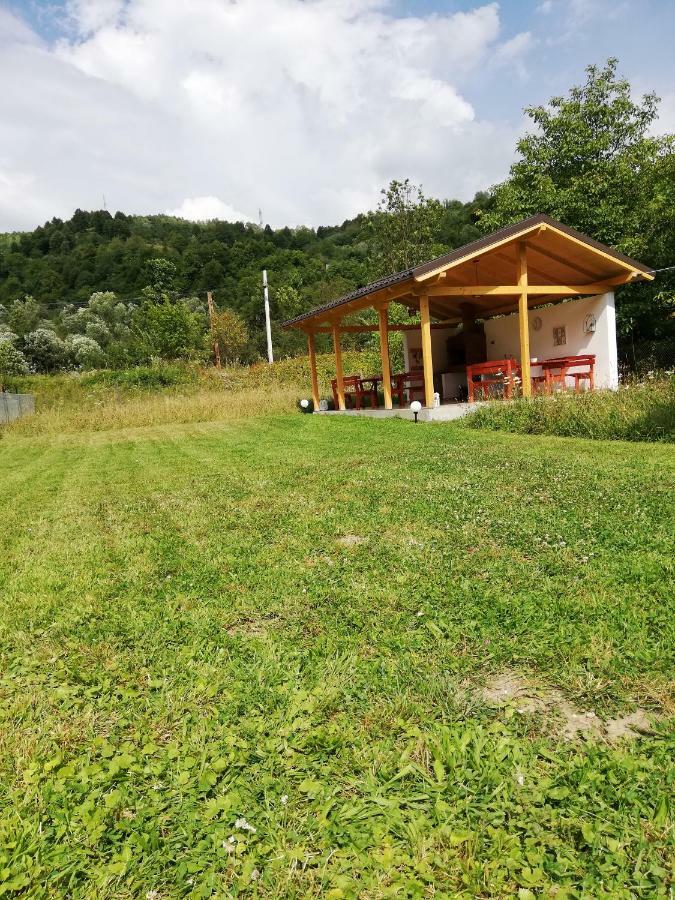 Guest House Carpathia Вишеу-де-Сус Экстерьер фото